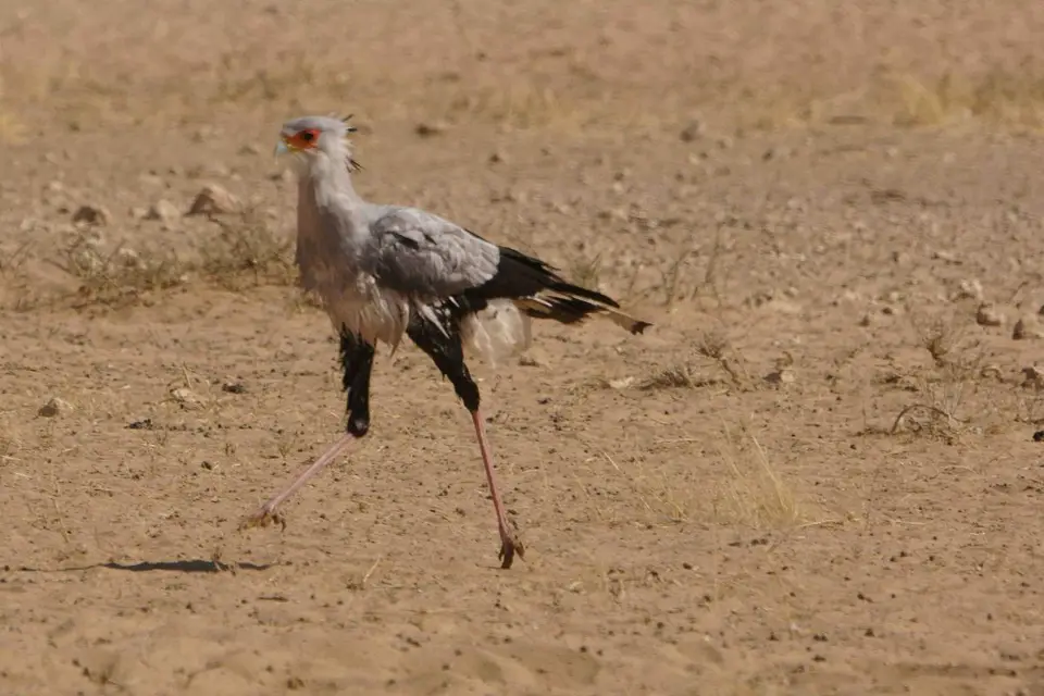 ha4ebc8b.JPG