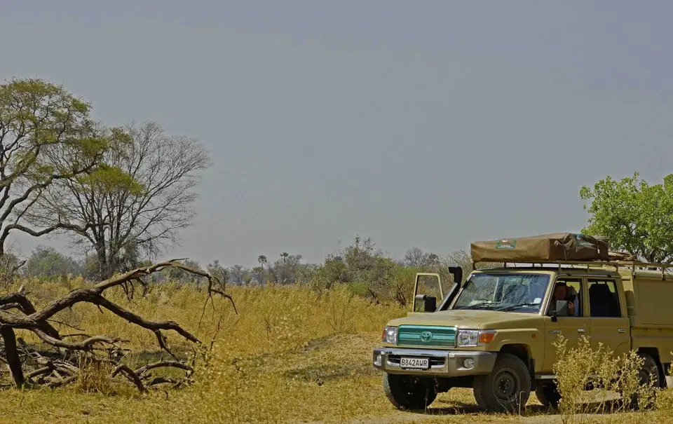 hf810db6.JPG