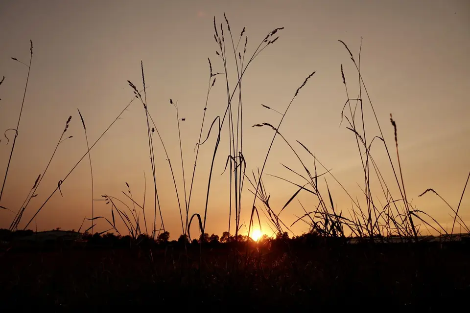 9D636920-C558-44D8-96F7-014B9D9FEF75.jpeg