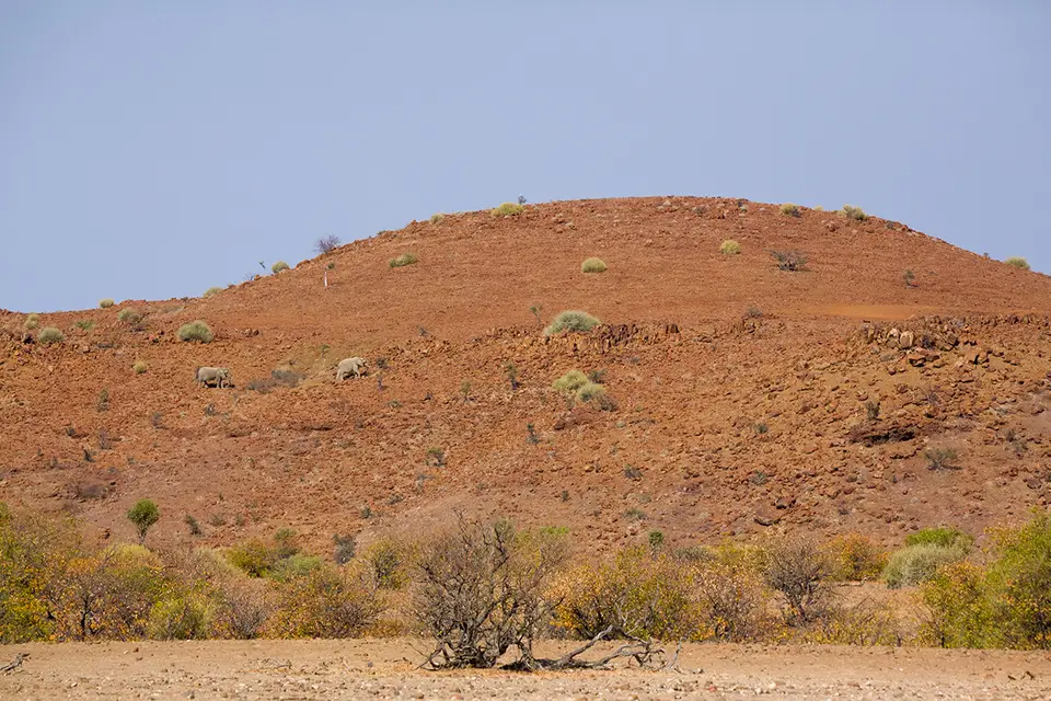 h004da90.jpg