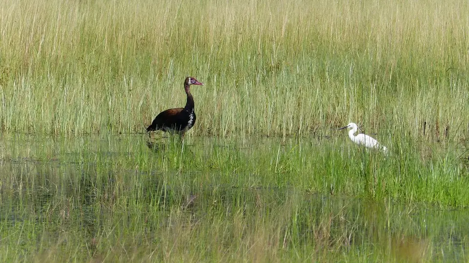 k-P1050458.JPG