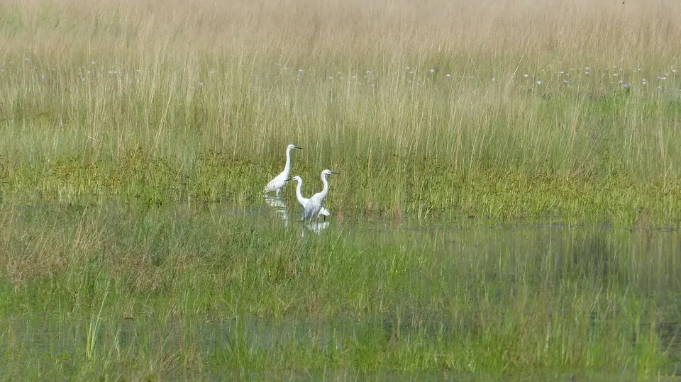 k-P1050461.JPG