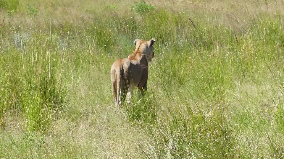 k-P1050747.JPG