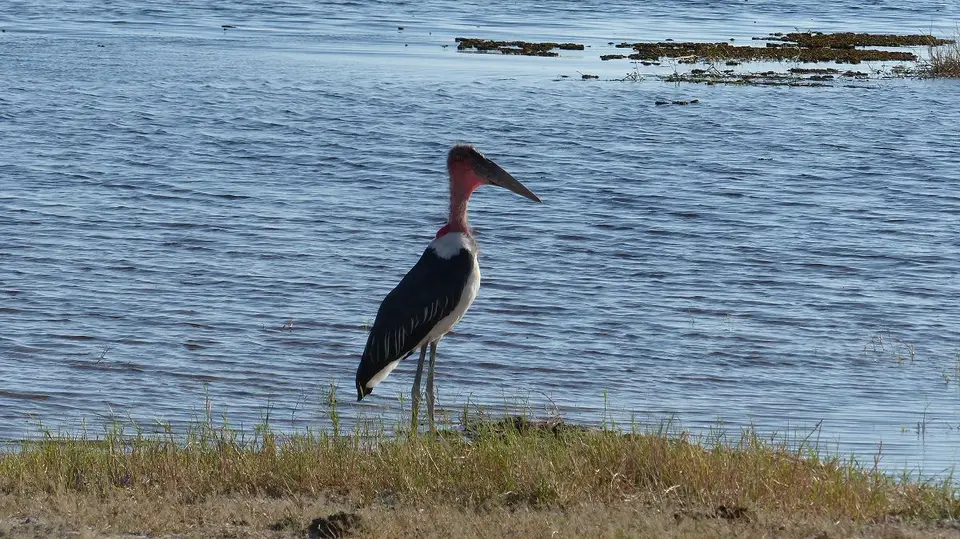 k-P1050795.JPG