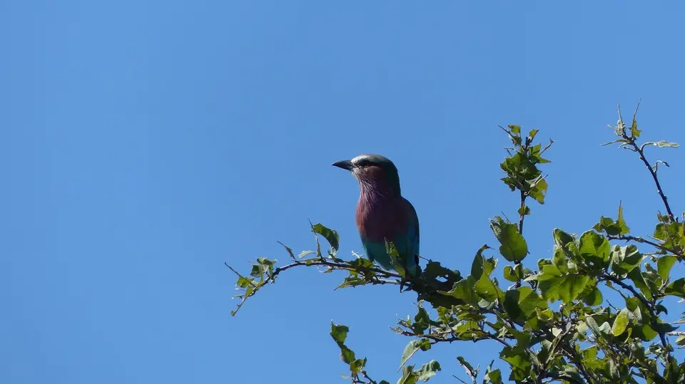 k-P1050845.JPG
