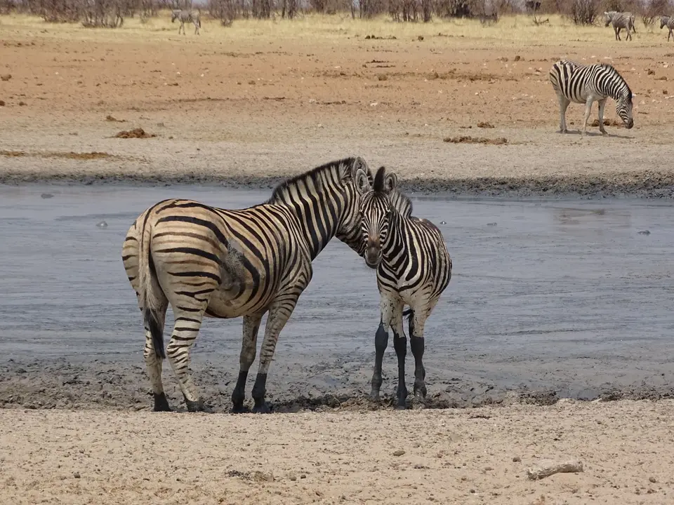 DSC02017.JPG.jpg