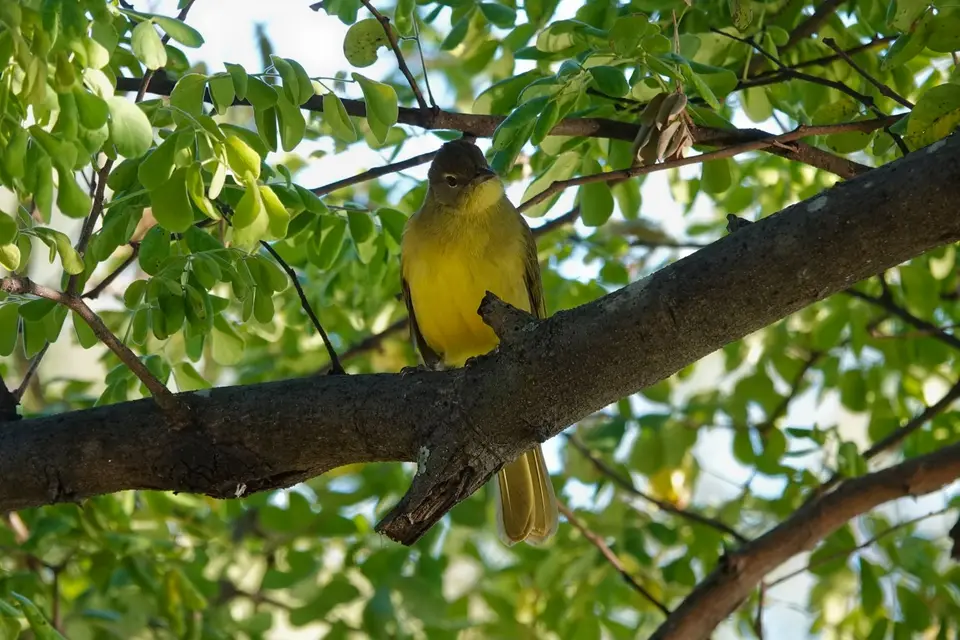 DSC05713-2.jpg