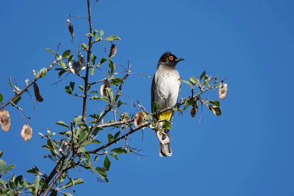 DSC09118-2.jpg