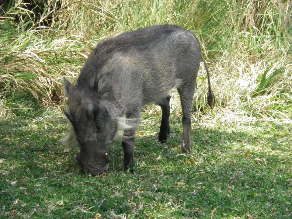 hdc27379.JPG