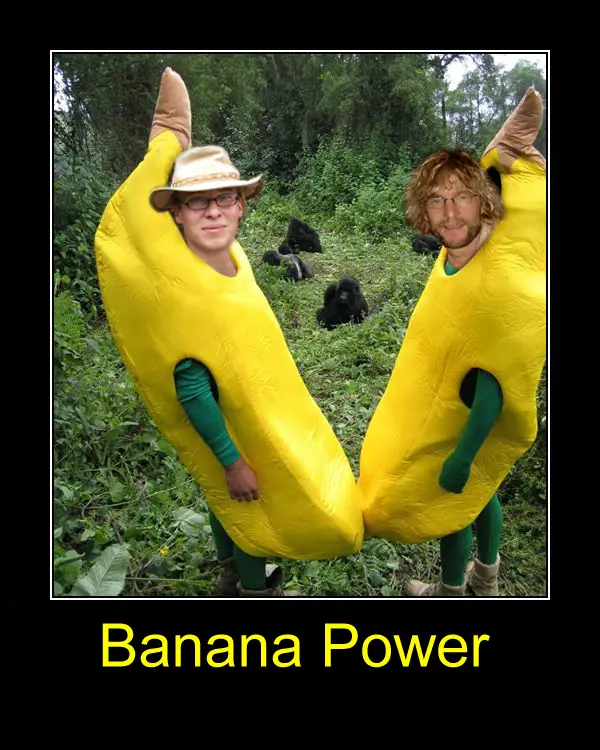 16BananaPower.jpg