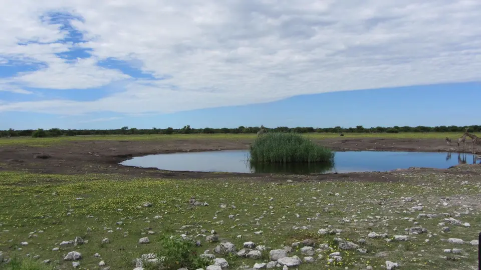 Bild1Etosha.jpg