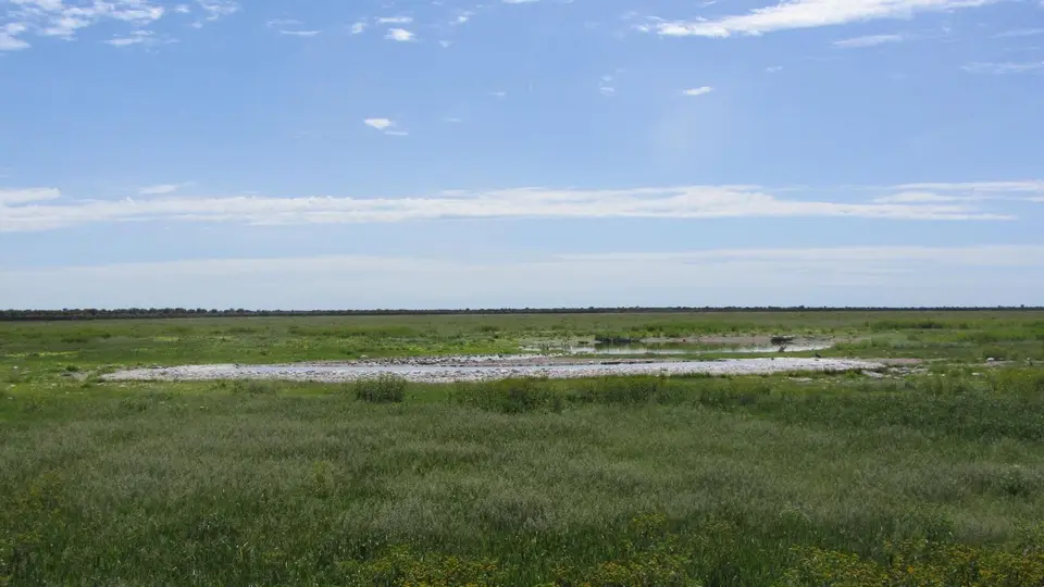 Bild3Etosha.jpg