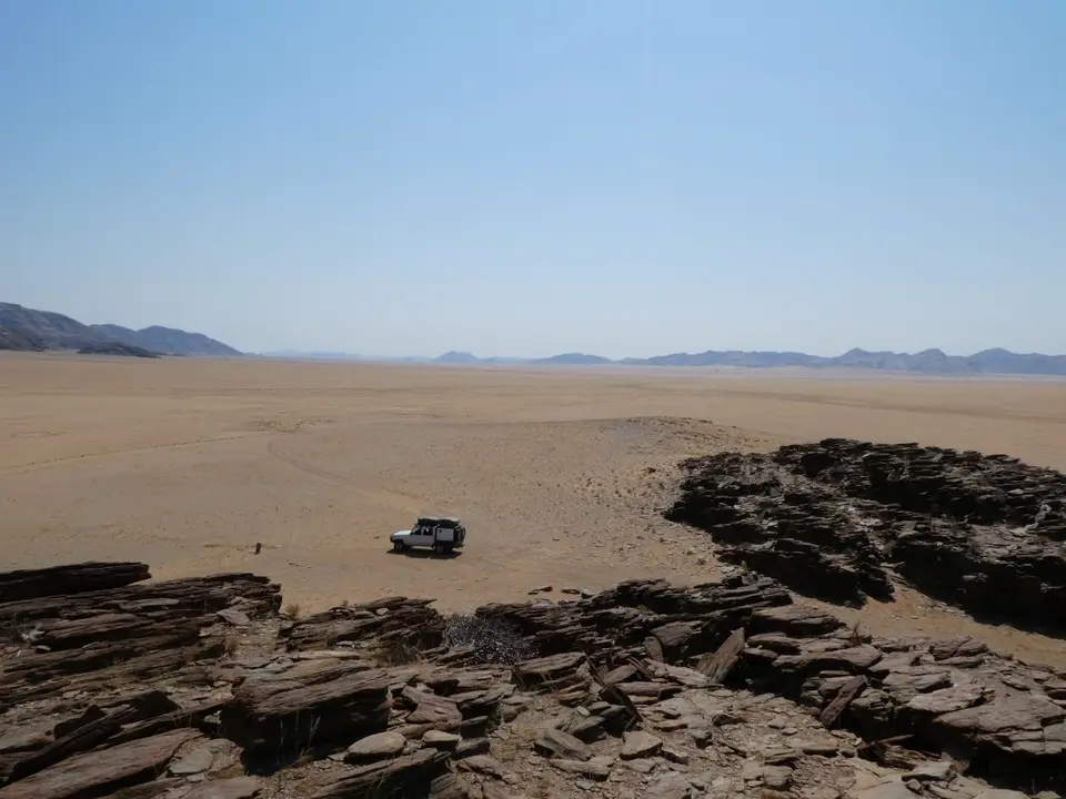 P1000630.JPG
