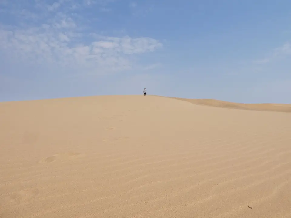 P1000753.JPG