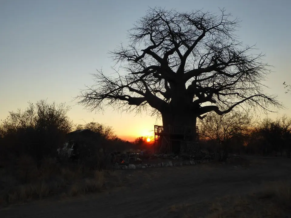 P1000924.JPG