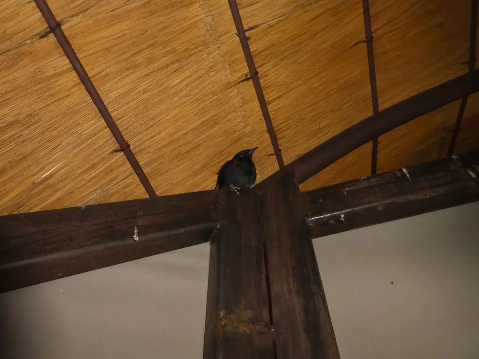 P1010002.JPG