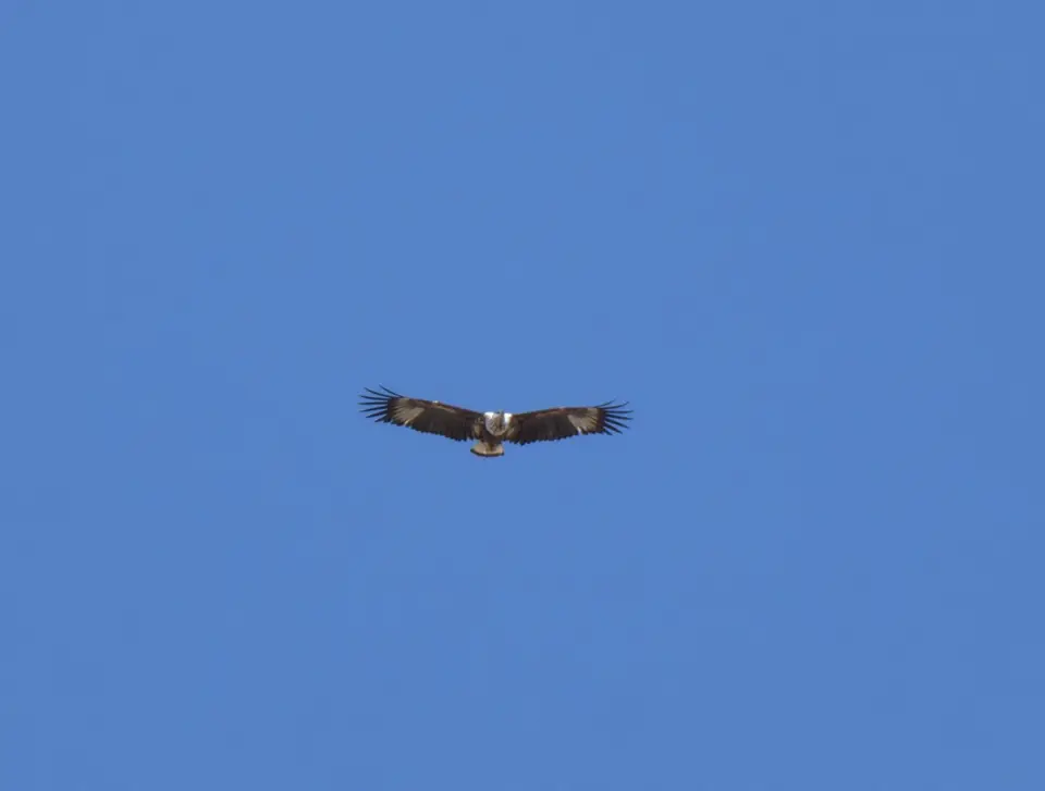 P1010441.JPG