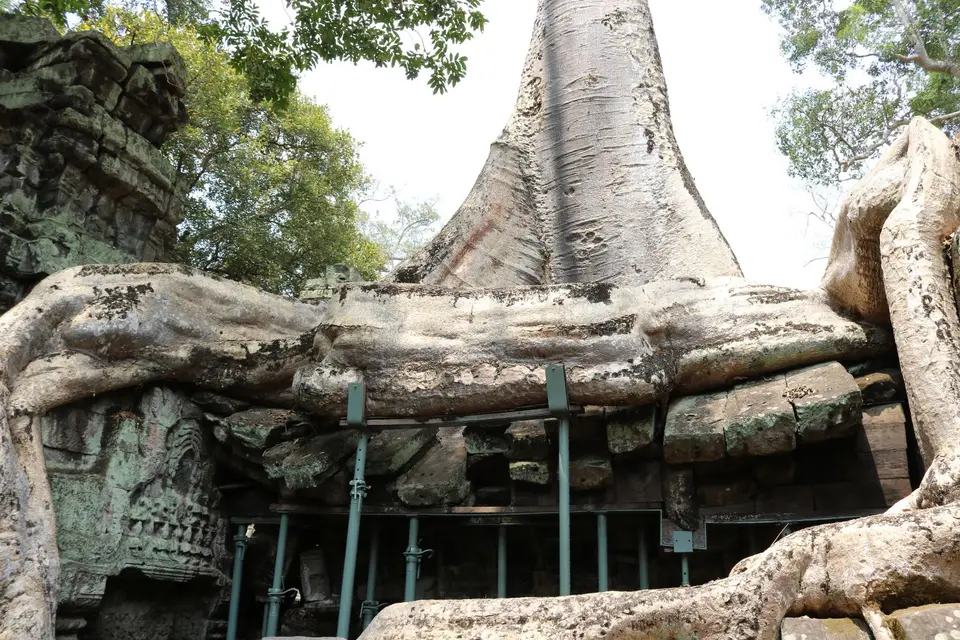 08831661-TaProhmTempel.JPG