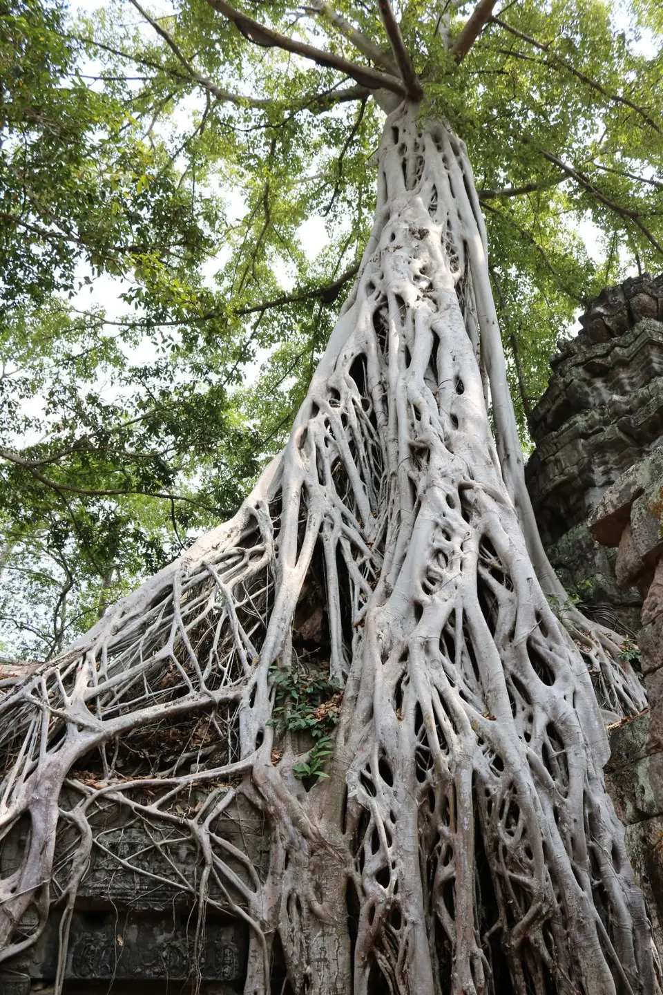 08851669-TaProhmTempel.JPG