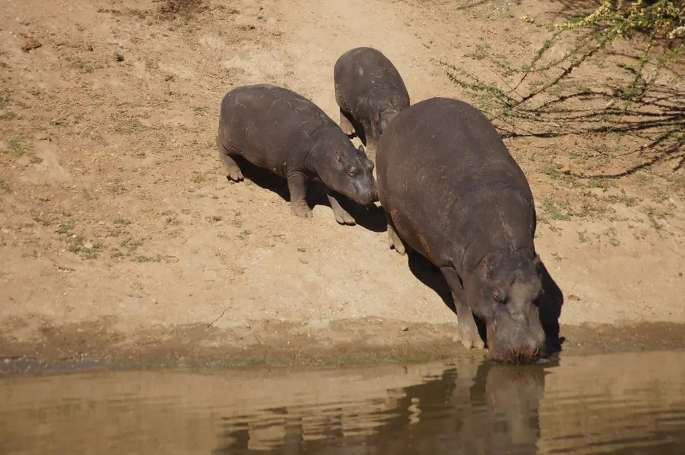 DSC08534.JPG