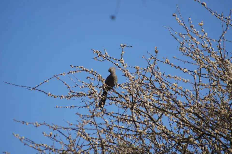 DSC08735.JPG
