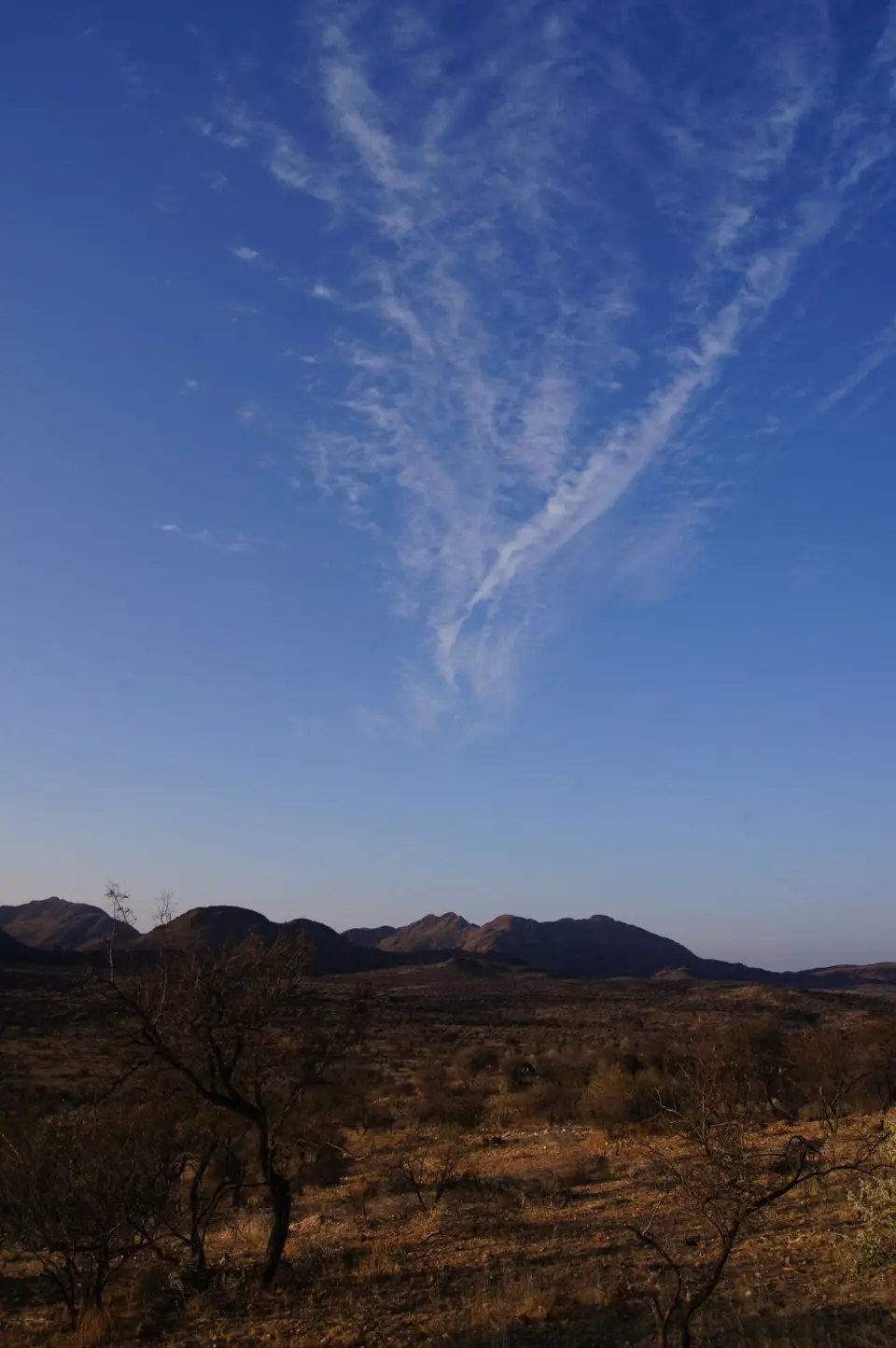 DSC08771.JPG