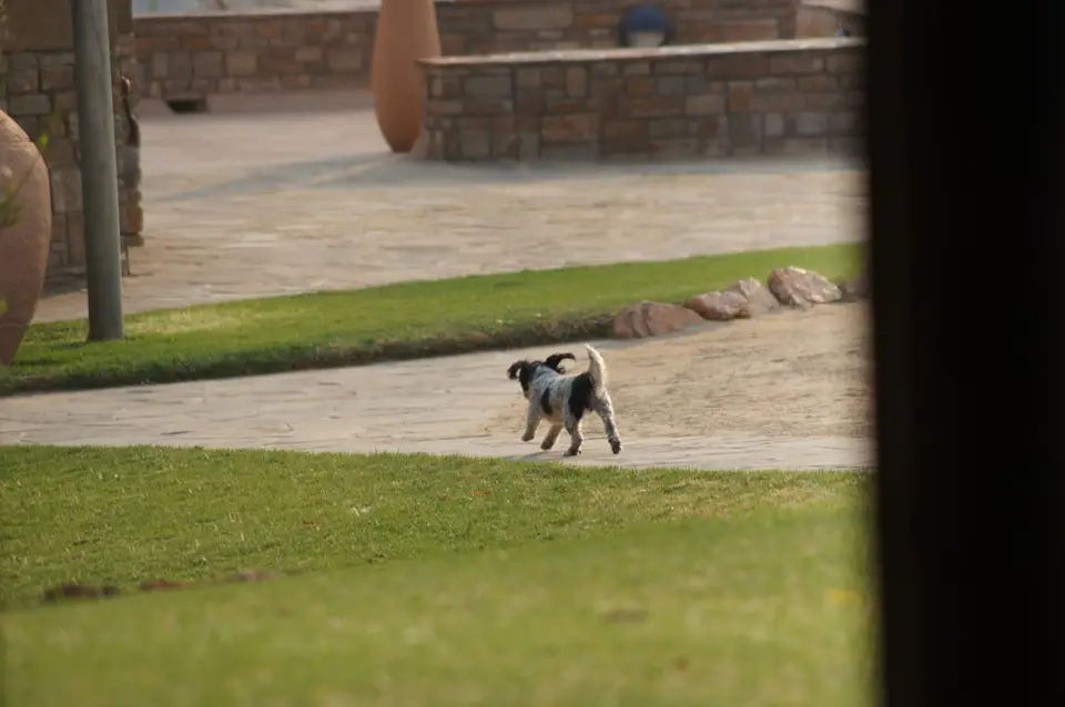 DSC09110.JPG