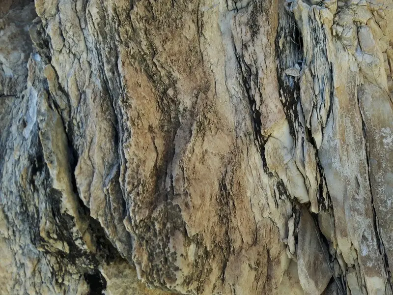 comp_20190806_105338.jpg
