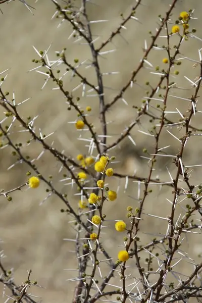 comp__MG_0871-2.jpg