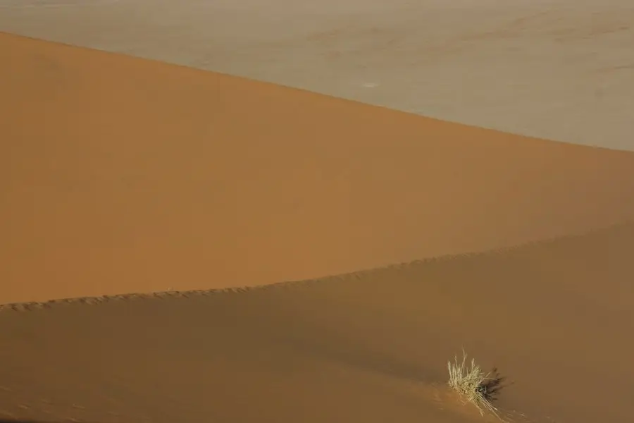 comp__MG_1413.jpg