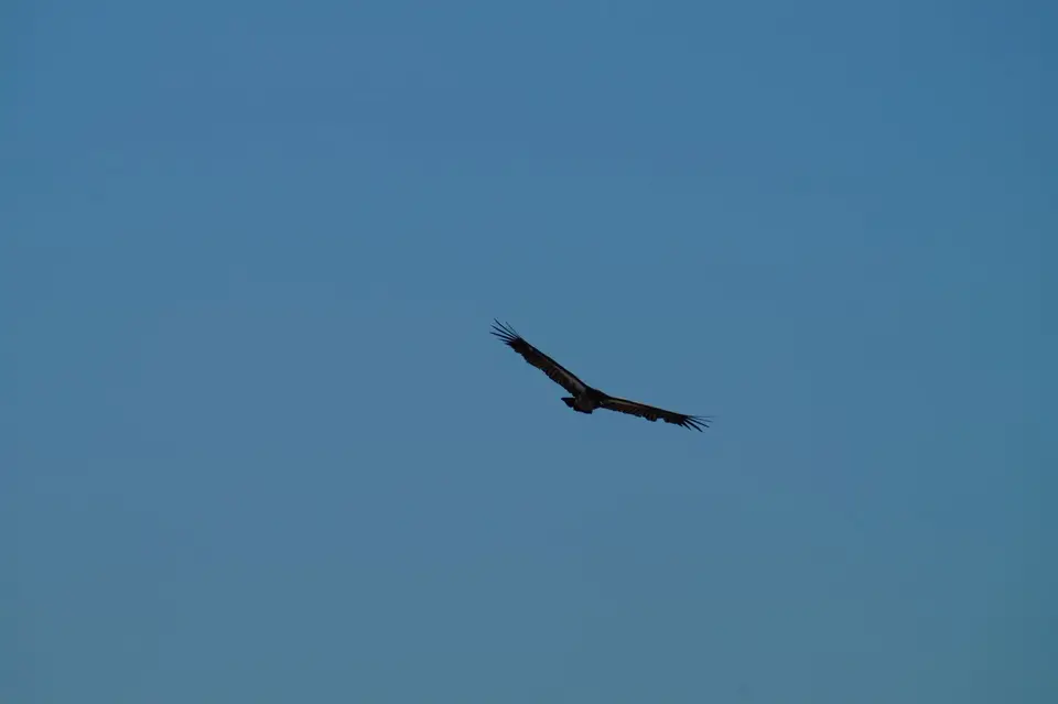 DSC01396.JPG