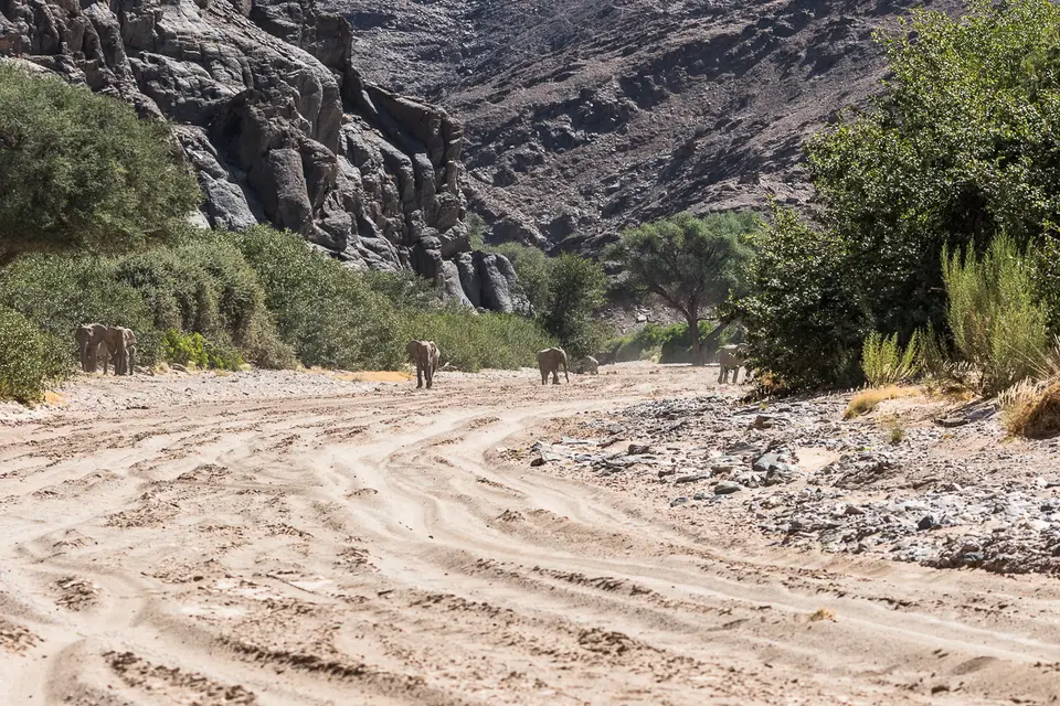 20160517_Namibia2016-7D2_9306.jpg