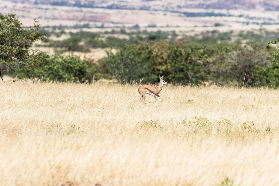 20160522_Namibia2016-7D2_9450.jpg