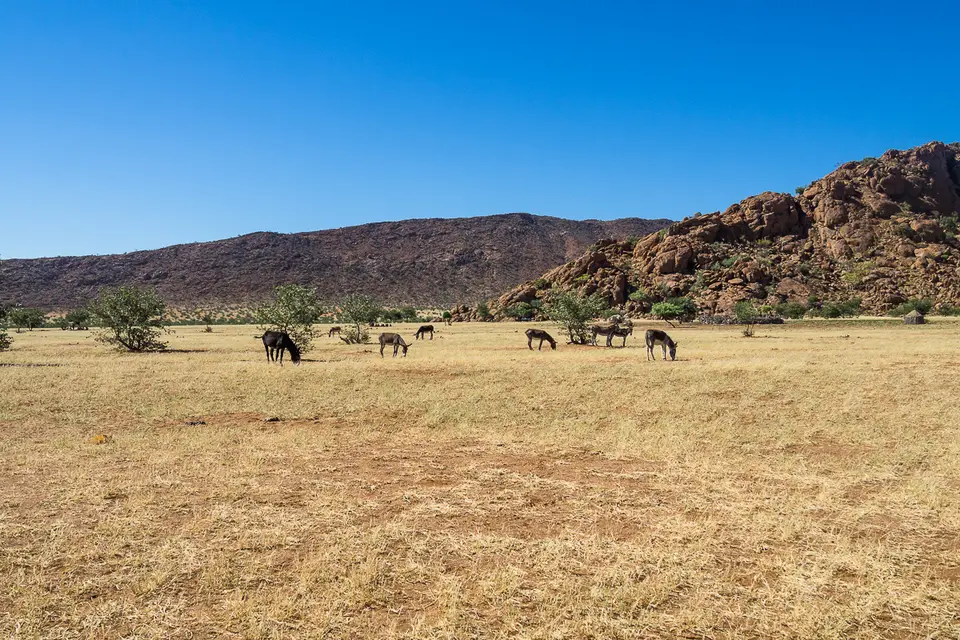 20160522_Namibia2016-O5223717.jpg