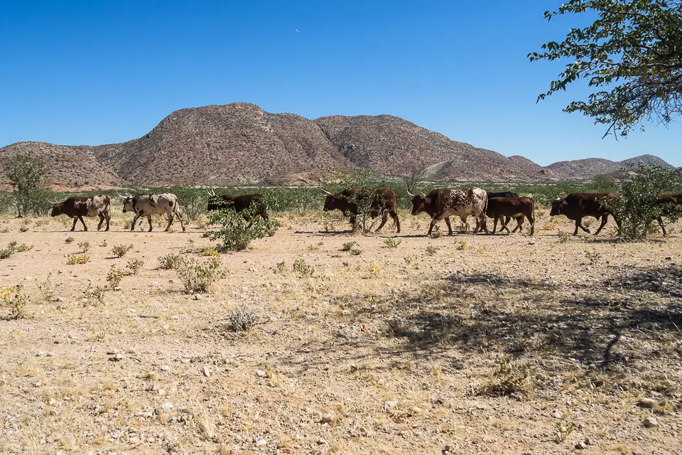 20160523_Namibia2016-O5233752.jpg