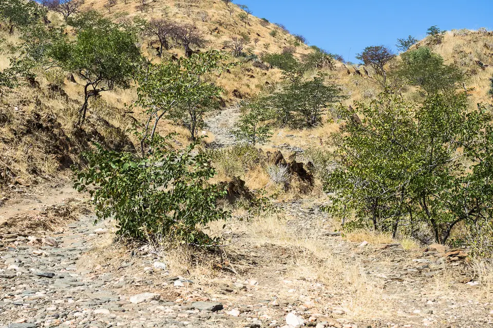 20160523_Namibia2016-O5233754.jpg