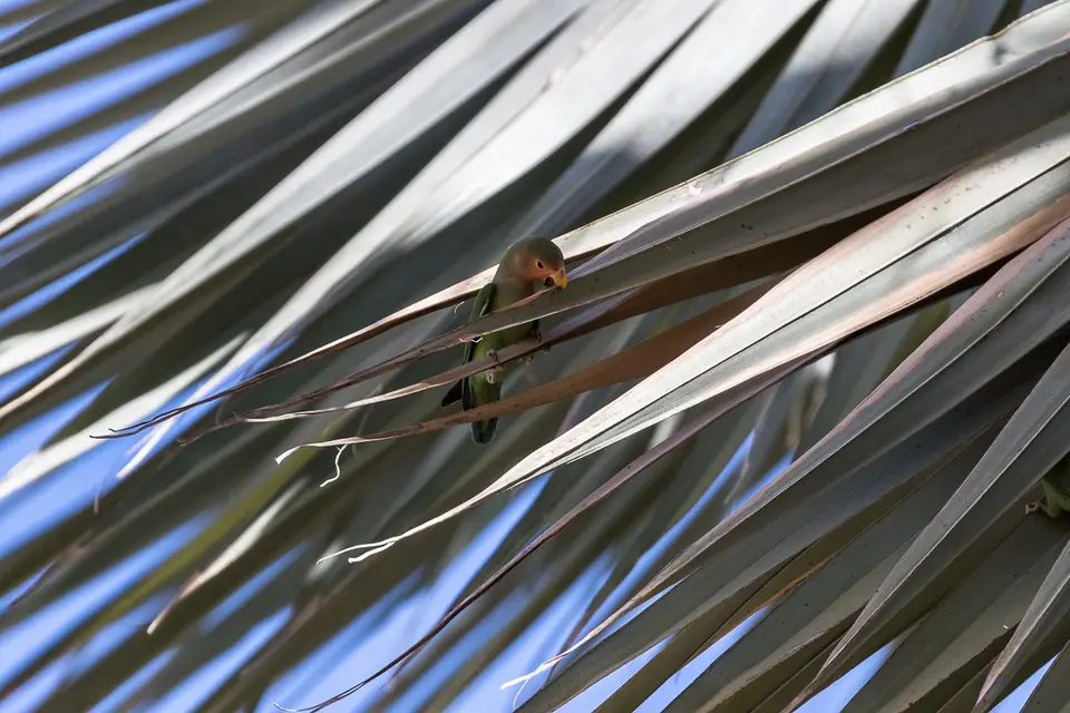 20160526_Namibia2016-7D2_9542.jpg