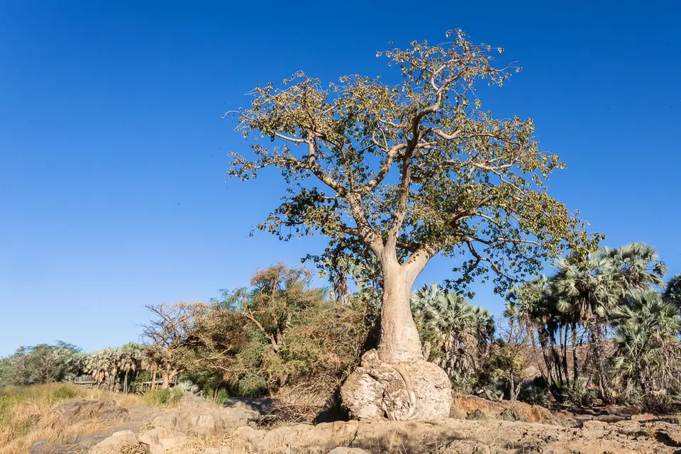 20160526_Namibia2016-IMG_9087.jpg