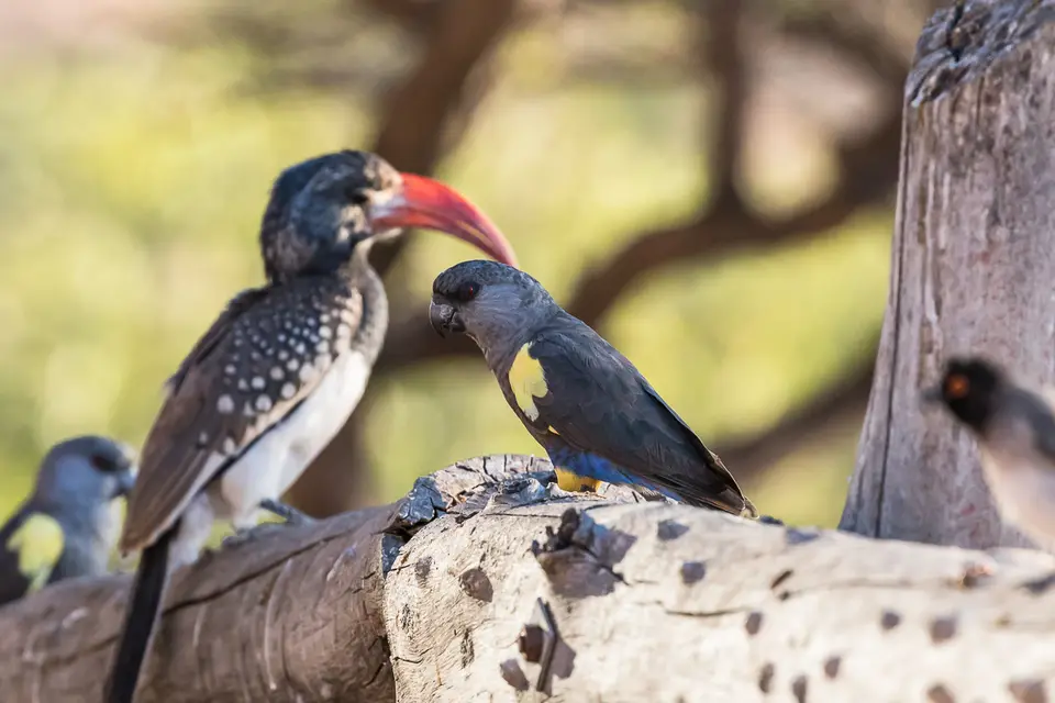 20160528_Namibia2016-7D2_9718.jpg