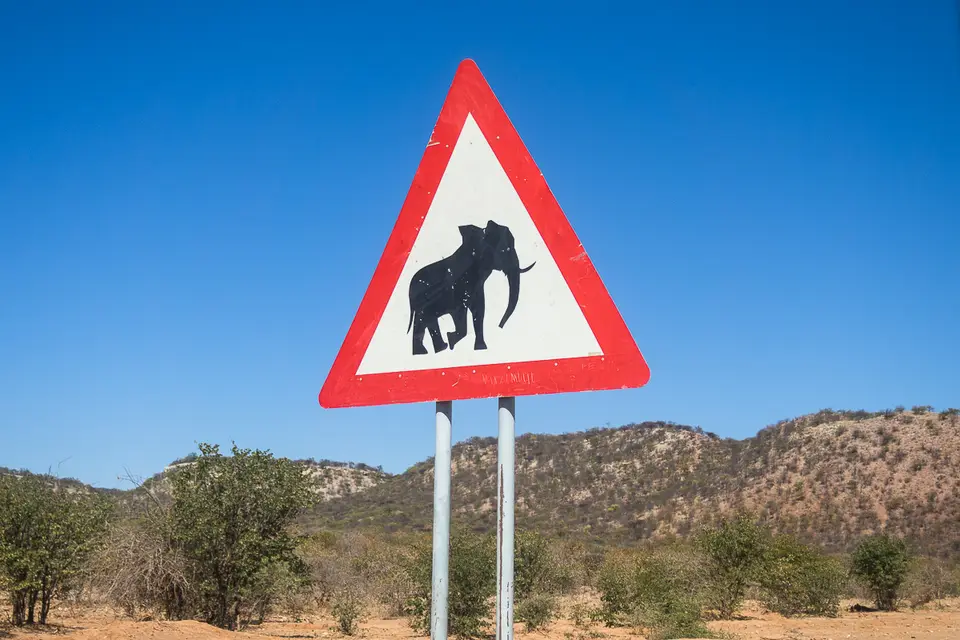 20160528_Namibia2016-O5284121.jpg