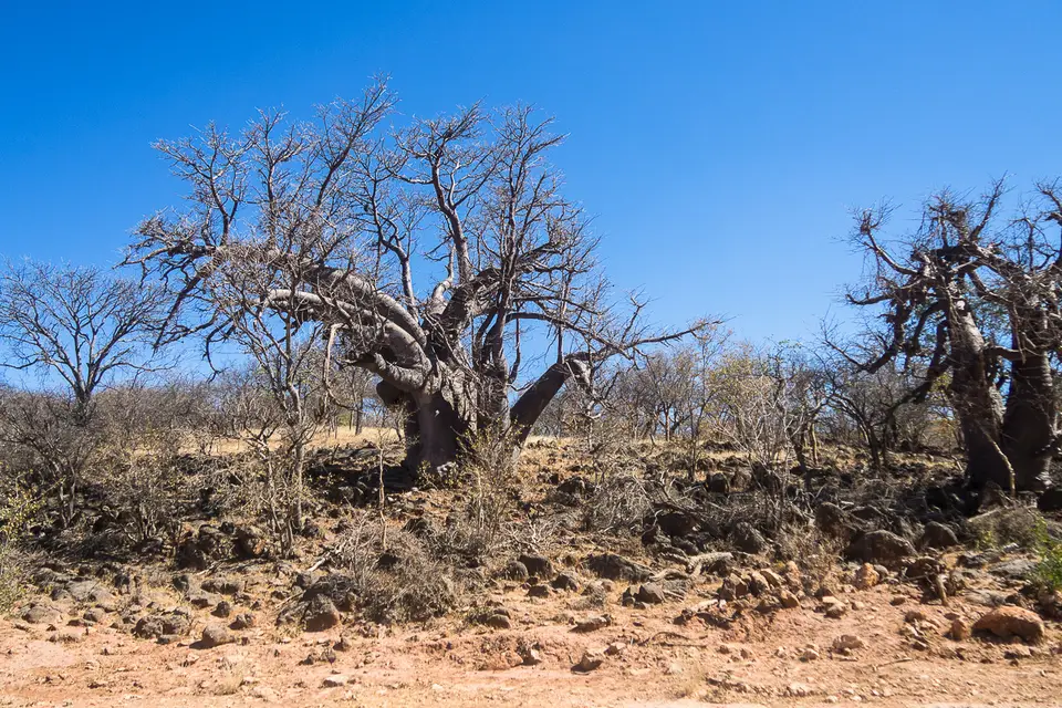 20160528_Namibia2016-O5284123.jpg