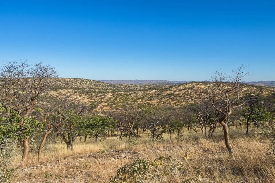 20160529_Namibia2016-O5294164.jpg