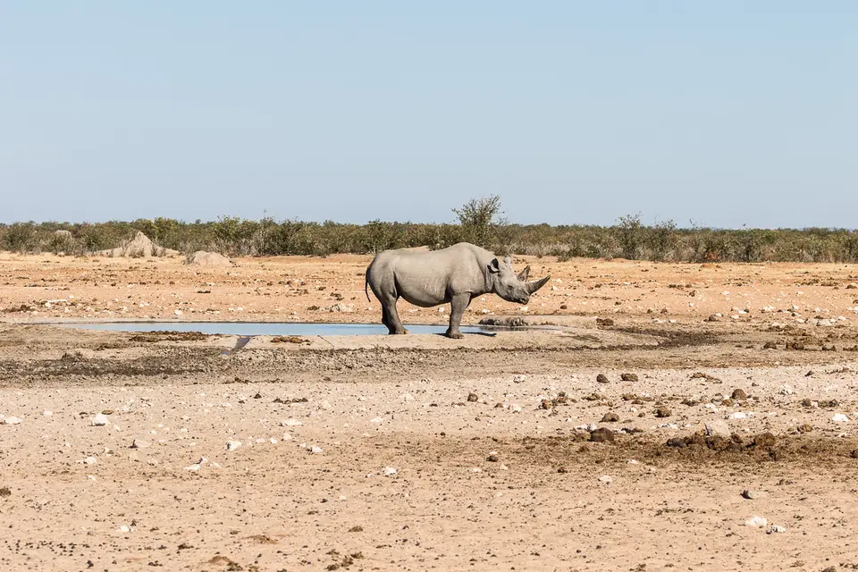 20160530_Namibia2016-7D2_9845.jpg