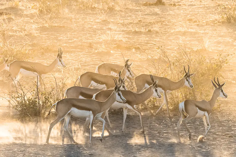 20160530_Namibia2016-7D2_9869.jpg