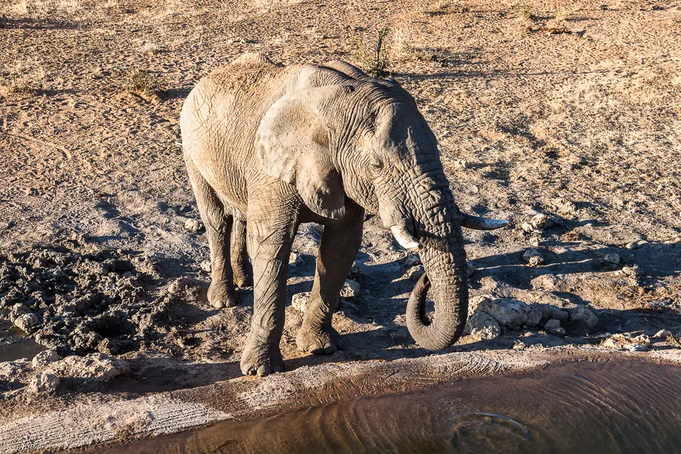 20160530_Namibia2016-IMG_9168.jpg