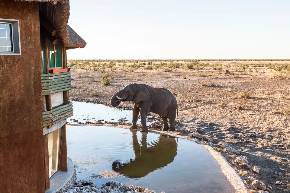 20160530_Namibia2016-IMG_9179.jpg