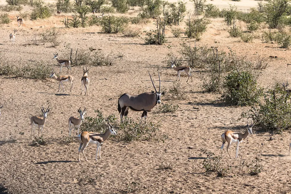 20160531_Namibia2016-7D2_0103.jpg