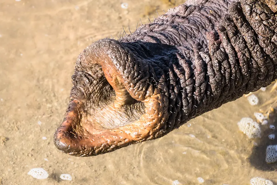20160531_Namibia2016-7D2_0140.jpg