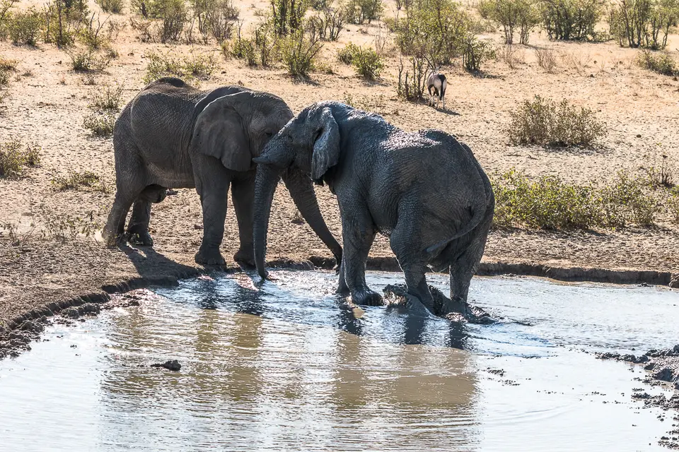 20160531_Namibia2016-7D2_0159.jpg