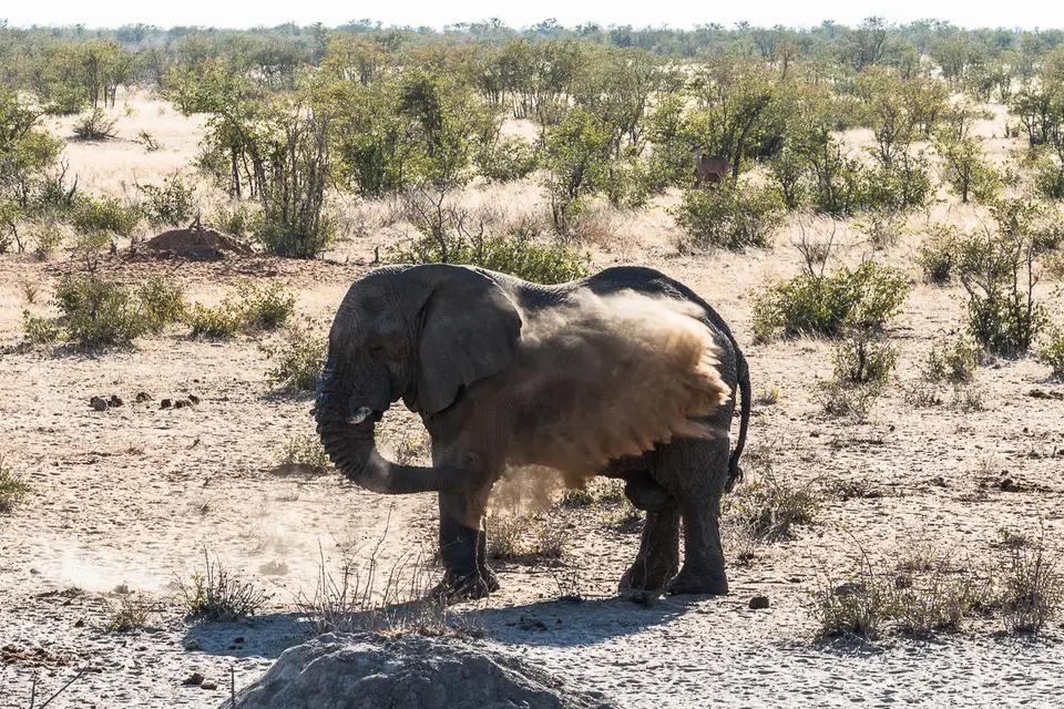 20160531_Namibia2016-7D2_0175.jpg